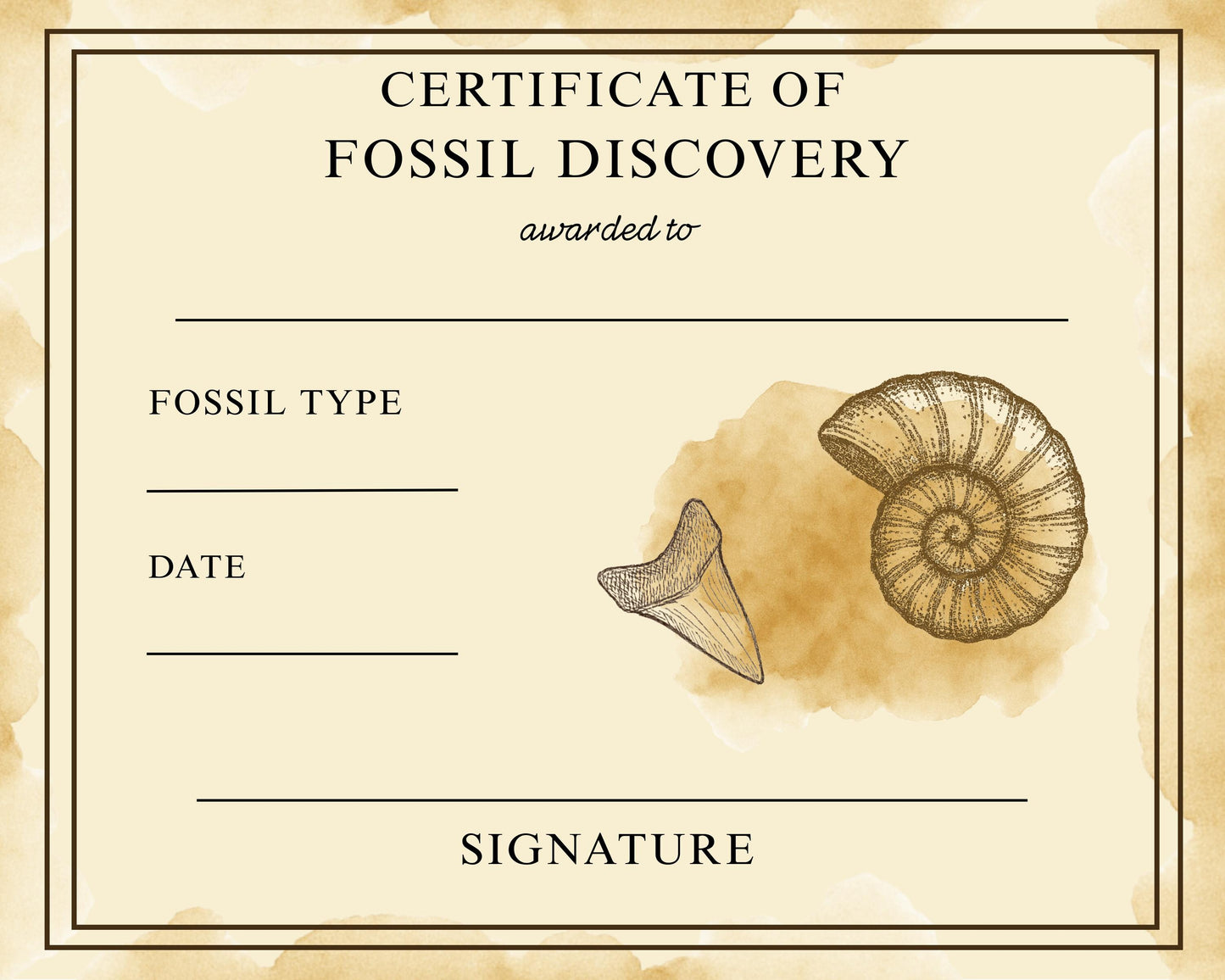 Kids Fossil Field Guide: Nature Journal, Shark Tooth ID (PDF Booklet)