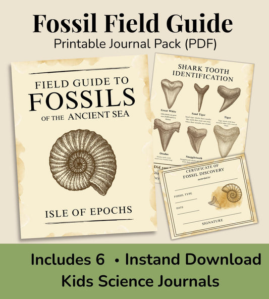 Kids Fossil Field Guide: Nature Journal, Shark Tooth ID (PDF Booklet)